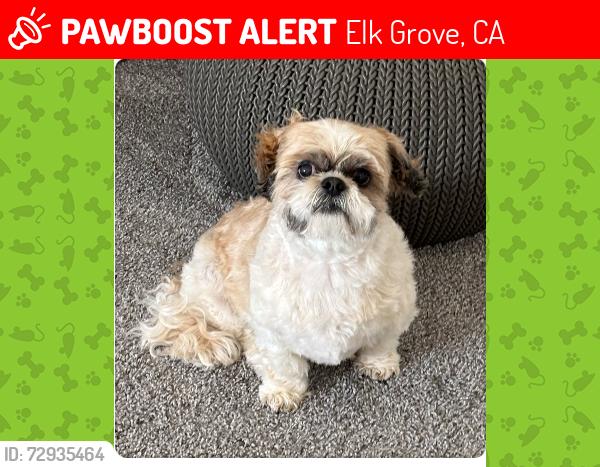 Lost Female Dog last seen Oasis Park, Elk Grove, CA 95757