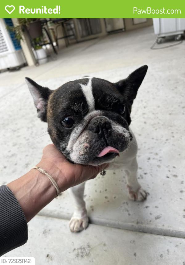 Reunited Female Dog last seen Haggin oak park , Bakersfield, CA 93311