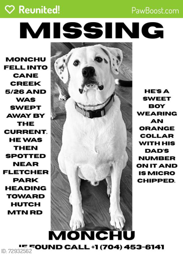 Reunited Male Dog last seen Fletcher Park near Hutch Mtn Rd, Fletcher, NC 28732
