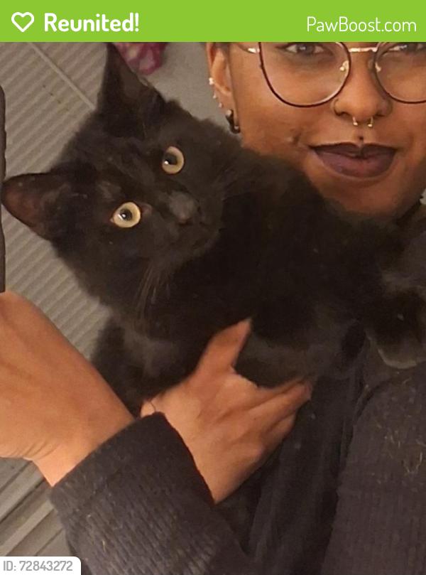 Reunited Male Cat last seen S 23rd street, 11th and Louise Street. , Copperas Cove, TX 76522