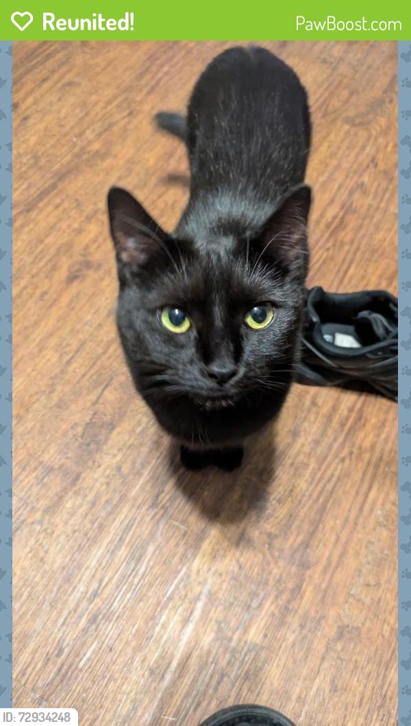 Reunited Female Cat last seen Colonial manor nursing home/ dps office , Cleburne, TX 76033