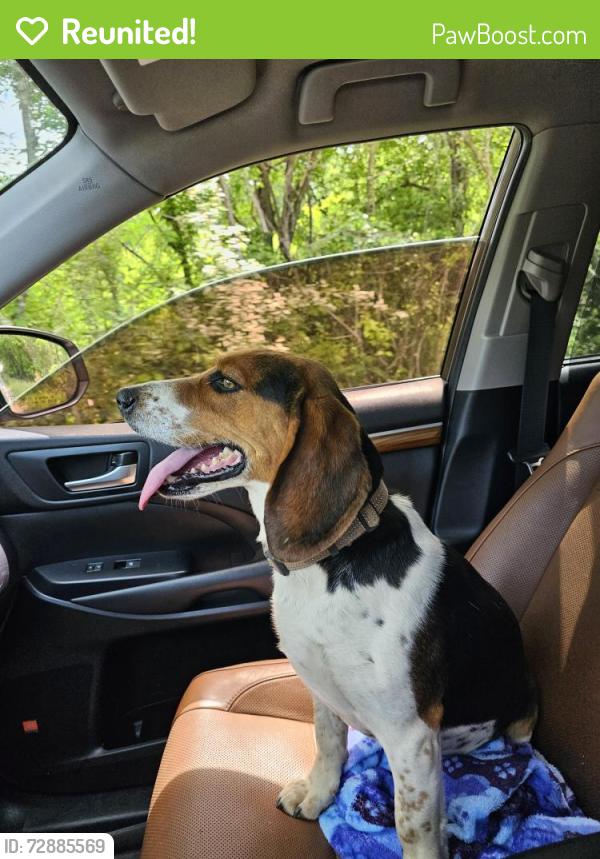 Reunited Male Dog last seen Clifdale Rd , Spartanburg County, SC 29307