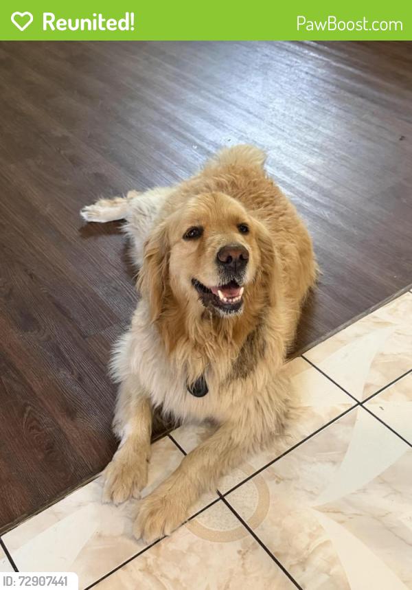 Reunited Unknown Dog last seen Palm court shopping center , Fontana, CA 92337
