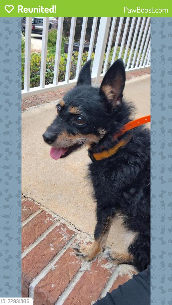 Reunited Female Dog last seen Upchurch Rd , Henry County, GA 30252