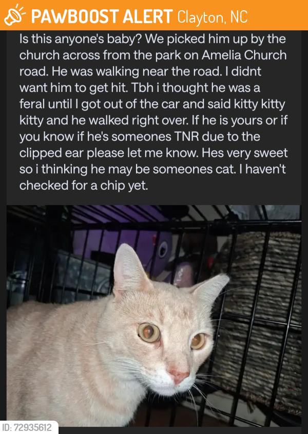 Found/Stray Male Cat last seen By the road at the Church across from the parkparking lot on Amelia Church Road, Clayton, NC 27520