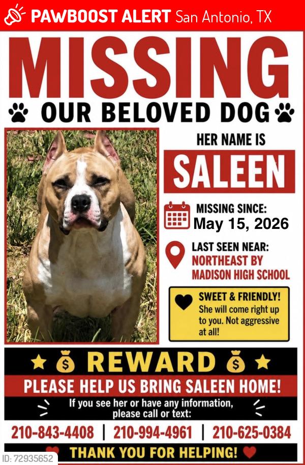 Lost Female Dog last seen Near NE Madison High School, San Antonio, TX 78247