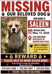 Lost Female Dog last seen Near NE Madison High School, San Antonio, TX 78247