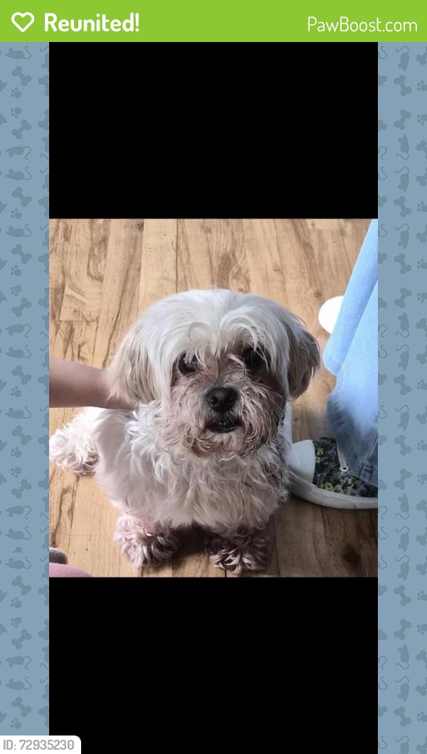 Reunited Unknown Dog last seen Main ave , Mastic, NY 11950