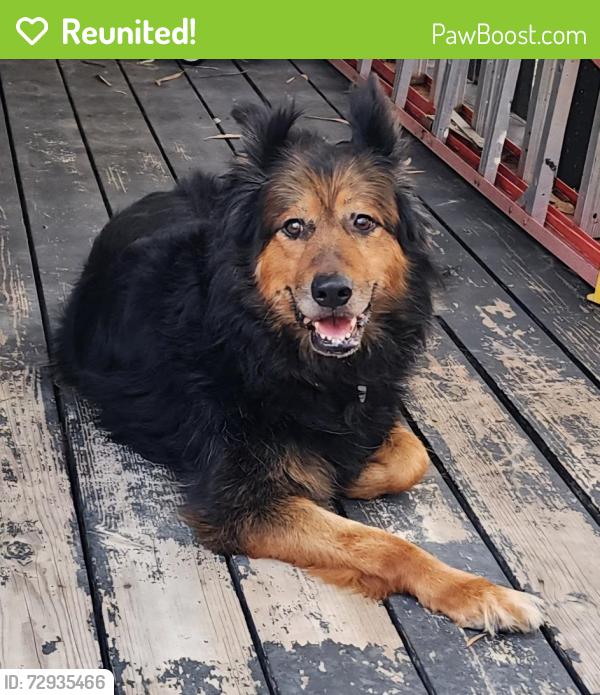 Reunited Unknown Dog last seen Torrey Pine Ct and Bristlecone Dr , Richmond, CA 94803