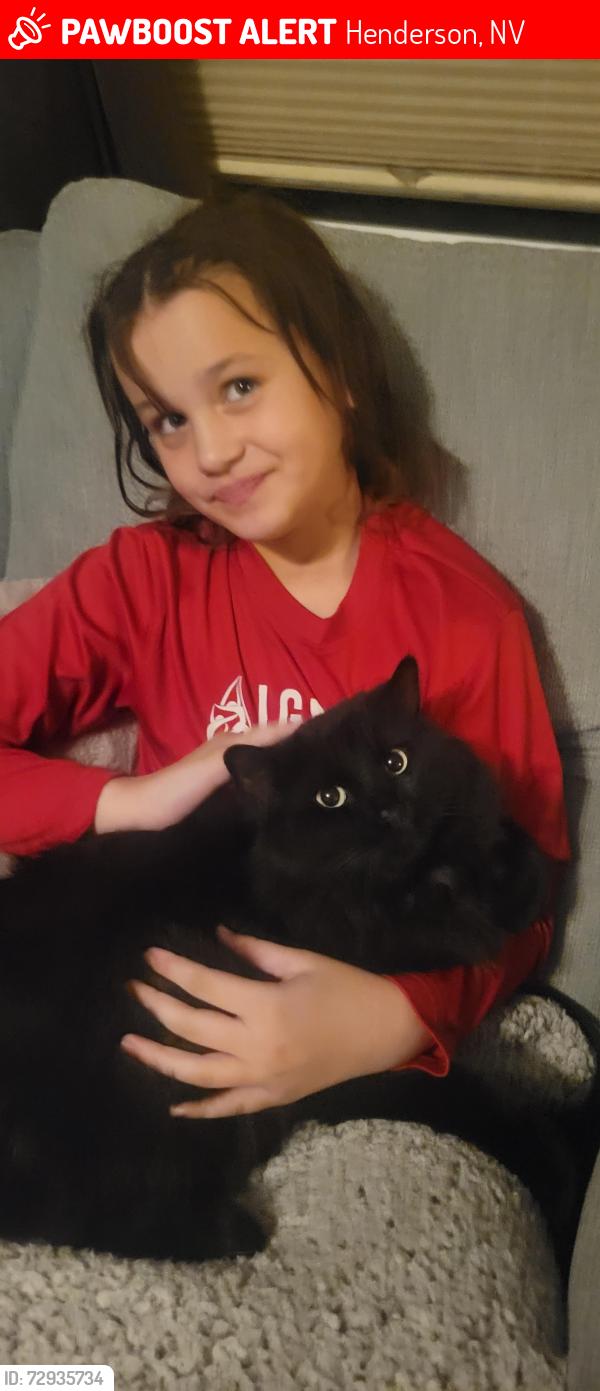 Lost Male Cat last seen Horizon and Greenway, Henderson, NV 89002