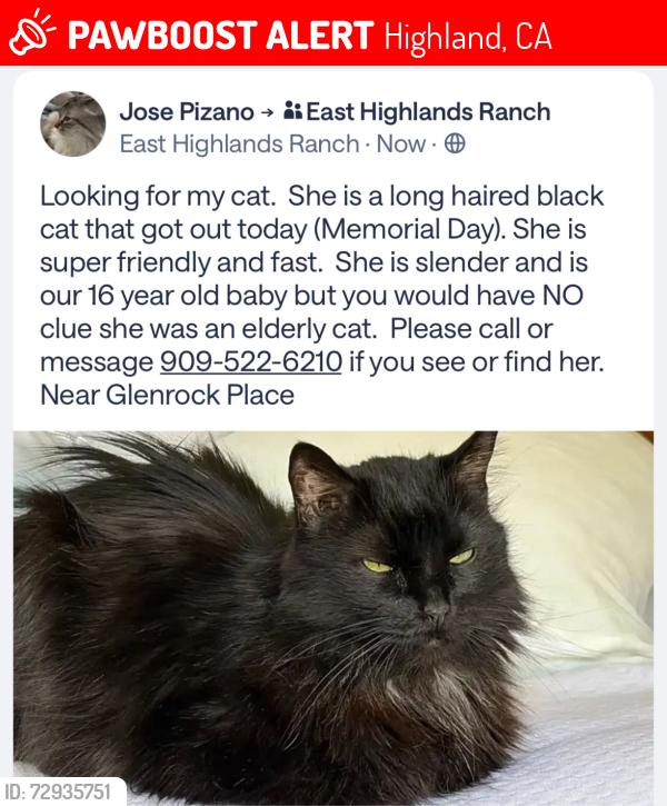 Lost Female Cat last seen Clear View Ln, Highland, CA 92346