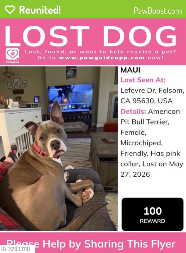 Reunited Female Dog last seen Near Lefevre Dr, Folsom, CA 95630, USA, Folsom, CA 95630