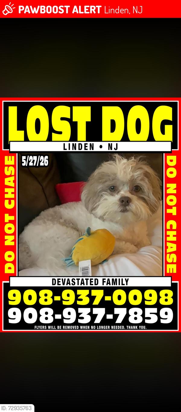 Lost Male Dog last seen Enfrente de los apartamentos de la calle east price en linden nj 07036, Linden, NJ 07036