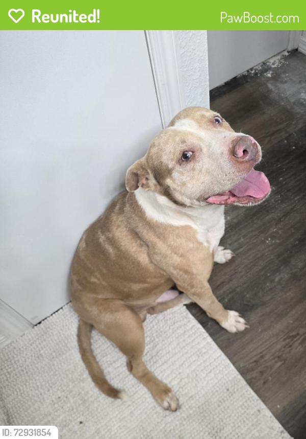 Reunited Male Dog last seen Heritage Park, Harrah, OK 73045