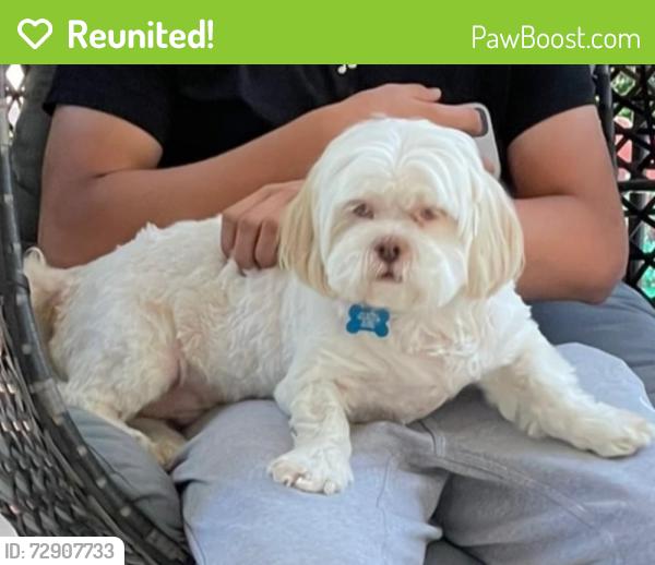 Reunited Male Dog last seen Near paden’s chase way , Lawrenceville, GA 30044