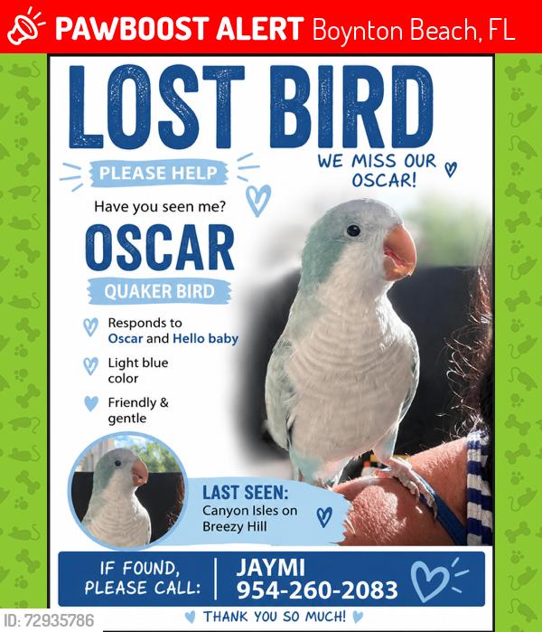 Lost Male Bird last seen Canyon Isles, Lyons Road or Acme Dairy near Boynton Beach Blvd, Boynton Beach, FL 33473
