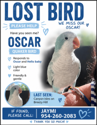 Lost Male Bird last seen Canyon Isles, Lyons Road or Acme Dairy near Boynton Beach Blvd, Boynton Beach, FL 33473
