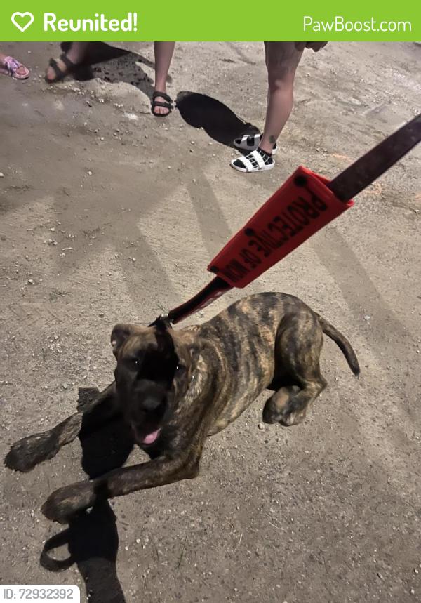 Reunited Female Dog last seen Near & moundview , Topeka, KS 66614