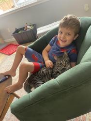 Lost Male Cat last seen Near 53rd ave s, Seattle, WA 98118