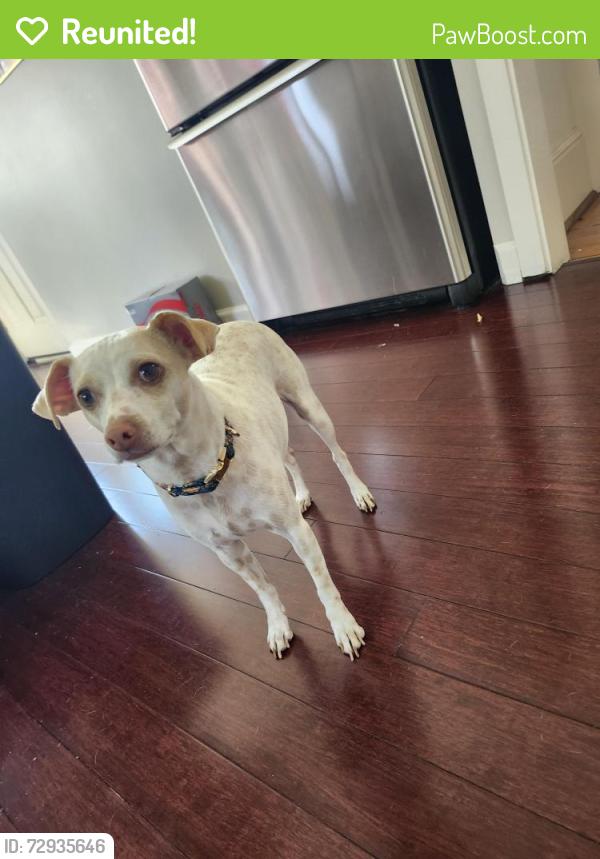 Reunited Male Dog last seen NE Ainsworth and NE 22nd, Portland, OR 97211