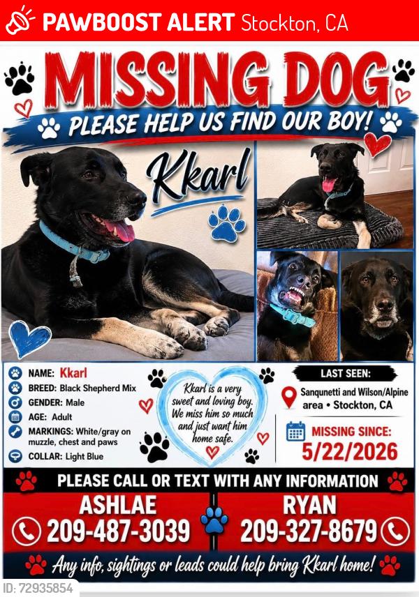 Lost Male Dog last seen Alpine sanquenetti , Stockton, CA 95205