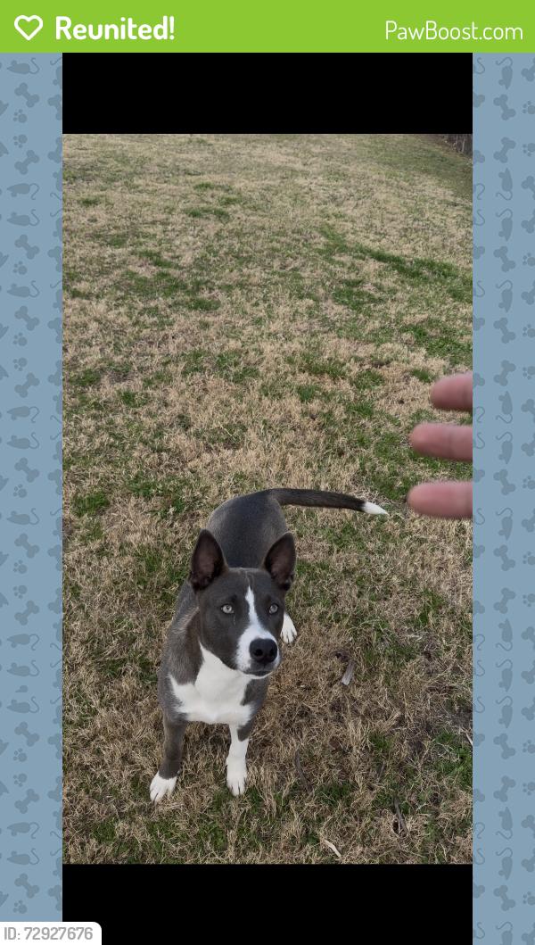 Reunited Male Dog last seen Cain griffin park, Lynn Haven, FL 32444