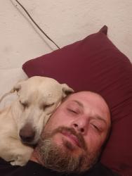 Reunited Female Dog last seen Burwell rd and train pass, Ridge Manor, FL 33597