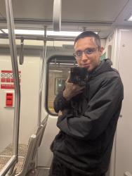 Reunited Male Cat last seen Garey & Drake st, Pomona, CA 91767