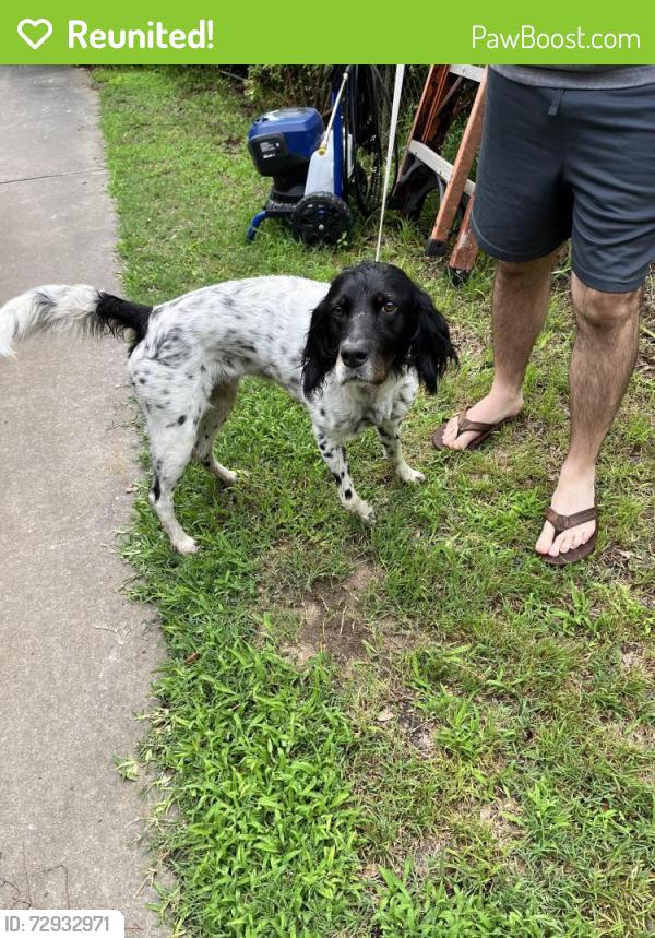 Reunited Female Dog last seen Airport Rd , Weatherford, TX 76087