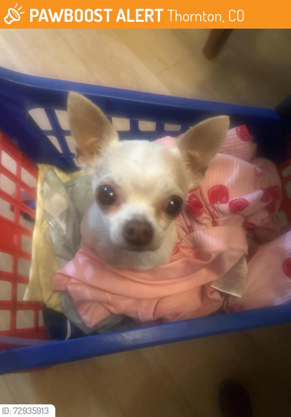 Found/Stray Male Dog last seen Near ave , Thornton, CO 80229