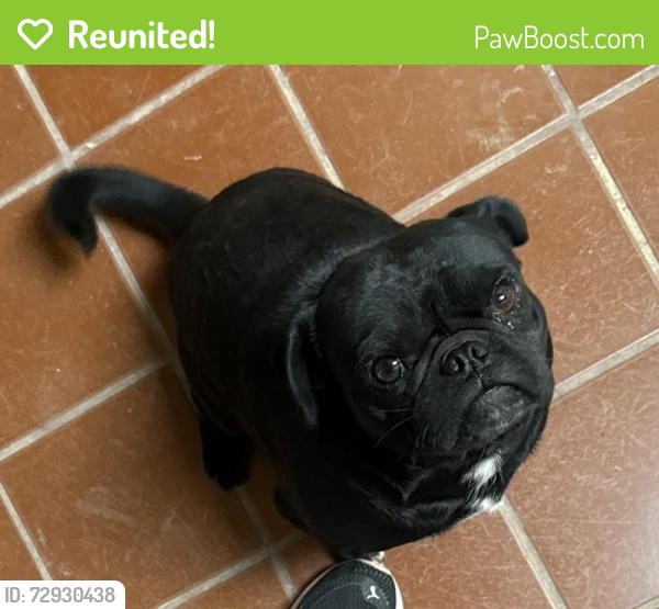 Reunited Male Dog last seen Palm Ave, San Diego, CA 92154