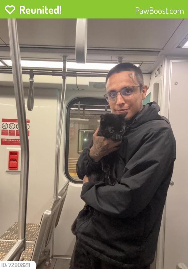 Reunited Male Cat last seen Garey & Drake st, Pomona, CA 91767