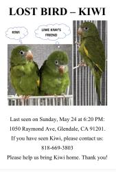 Lost Unknown Bird last seen Near Raymond ave Glendale , Glendale, CA 91201