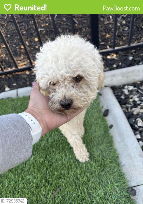 Reunited Male Dog last seen Expedition Dr , Riverside County, CA 92596