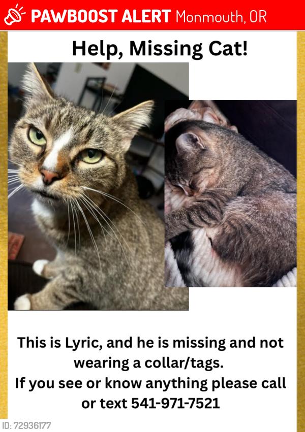 Lost Male Cat last seen Western Oregon University, Monmouth, OR 97361