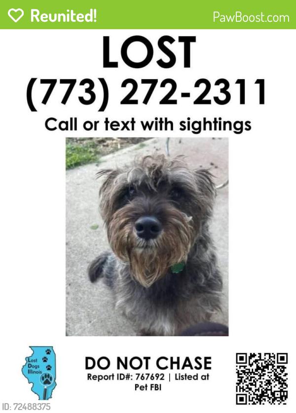 Reunited Male Dog last seen Near S Kolmar ave Chicago, IL, Chicago, IL 60629