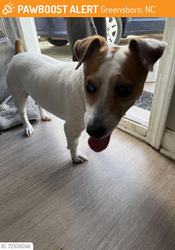 Found/Stray Male Dog last seen Bennington Village, Greensboro, NC 27301