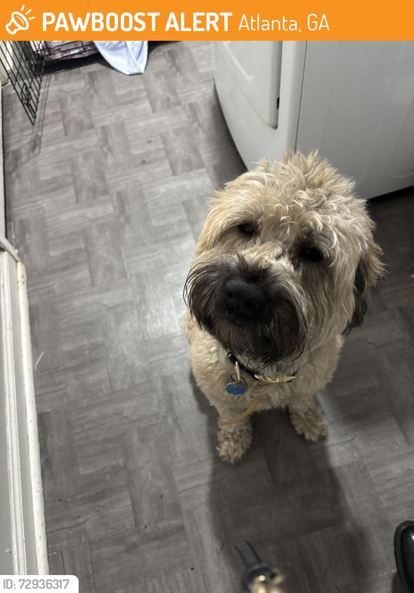 Found/Stray Male Dog last seen Cleveland Ave, Atlanta, GA 30354