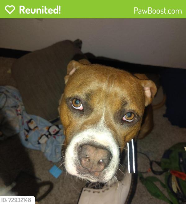 Reunited Male Dog last seen NW 101st and McKinley , Oklahoma City, OK 73114