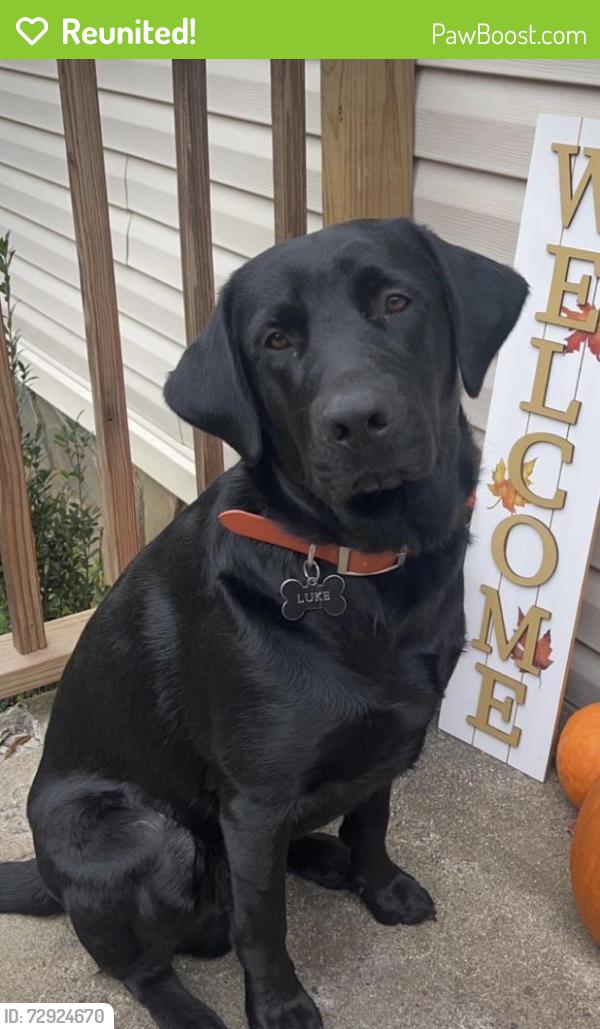 Reunited Male Dog last seen Rocky Road and Confidence Church Road  , Lenoir, NC 28645