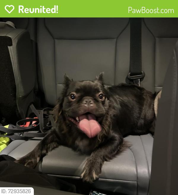 Reunited Unknown Dog last seen Port Saint Lucie, Port St. Lucie, FL 34986