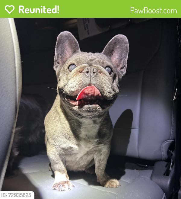 Reunited Unknown Dog last seen Port Saint Lucie, Port St. Lucie, FL 34986