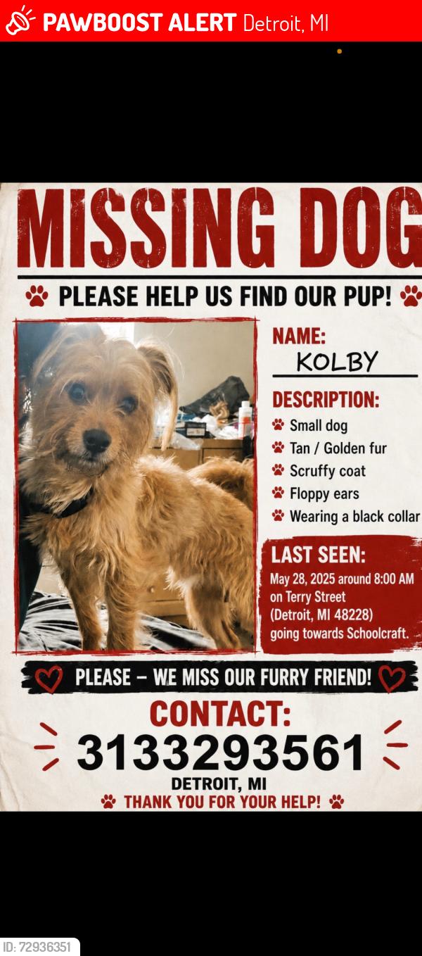 Lost Male Dog last seen terry and grand river , Detroit, MI 48227