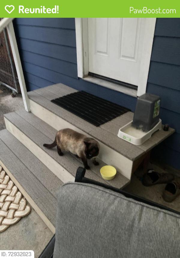 Reunited Male Cat last seen Douglas bvld, Roseville, CA 95678