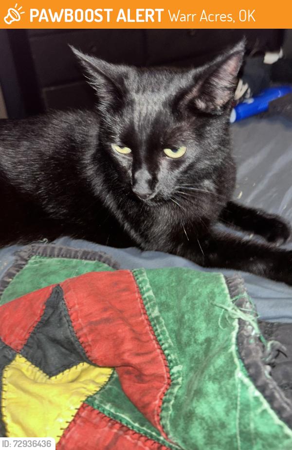 Found/Stray Male Cat last seen Warr acres city hall, Warr Acres, OK 73122