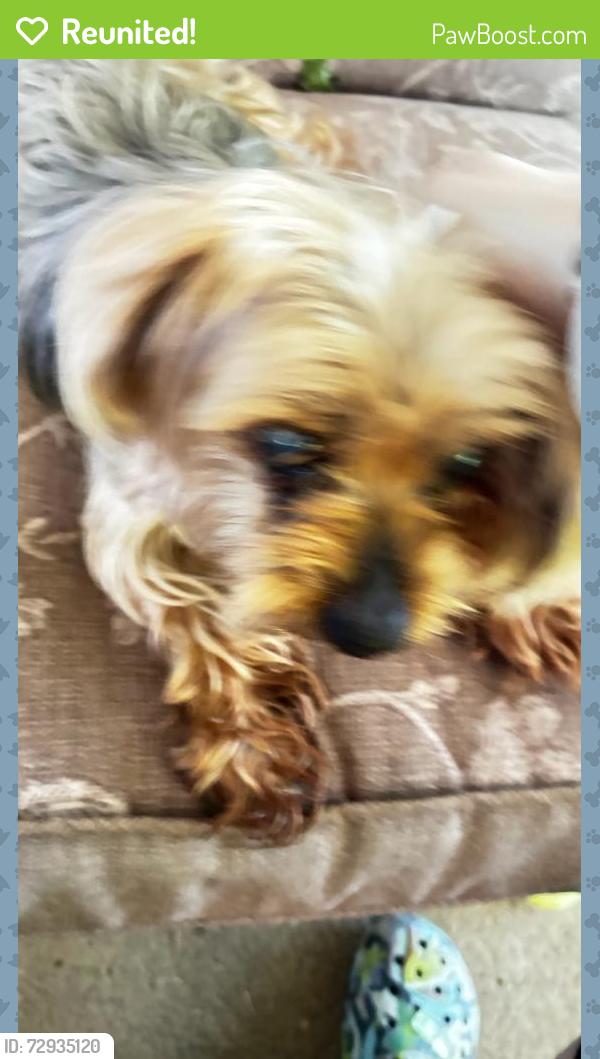 Reunited Male Dog last seen Near th st., Vancouver, WA 98684