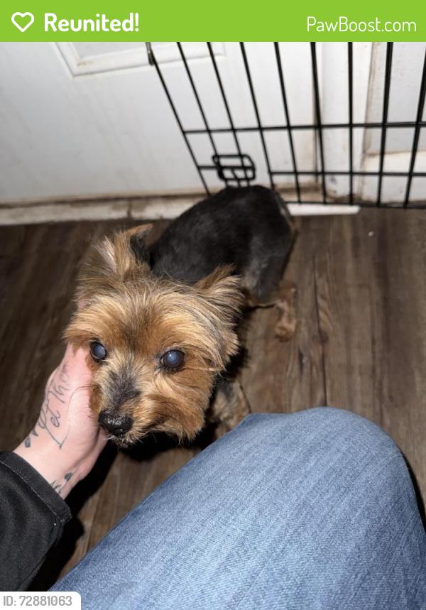 Reunited Unknown Dog last seen Near Parker Odessa tx, Odessa, TX 79761