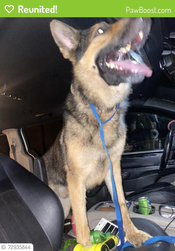 Reunited Male Dog last seen Palm Bay, FL, USA, Palm Bay, FL 32905
