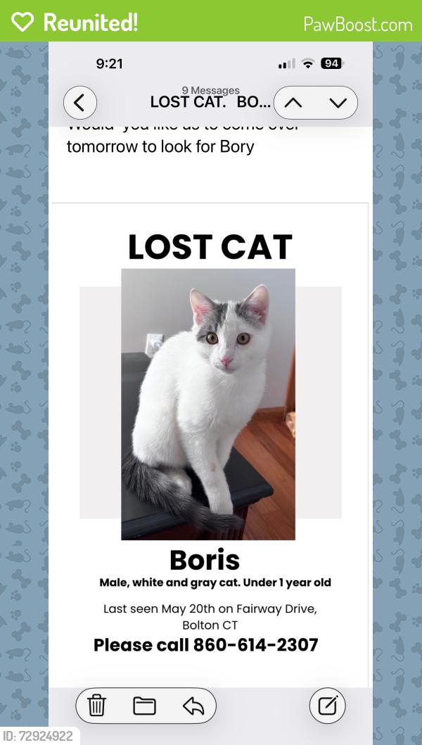Reunited Male Cat last seen School , Bolton, CT 06043