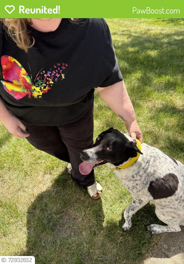 Reunited Male Dog last seen Sun Valley/ River Bend , Plainfield, IL 60586